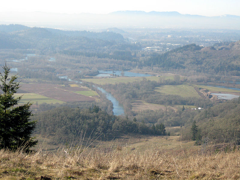 Confluence of the Coast and Middle Forks of the Willamette