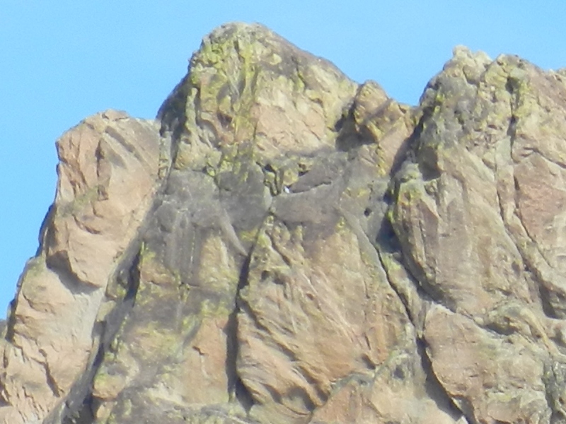 Is that a belayer at the top of the fifth pitch of &ldquo;Birds in a Rut&rdquo;?