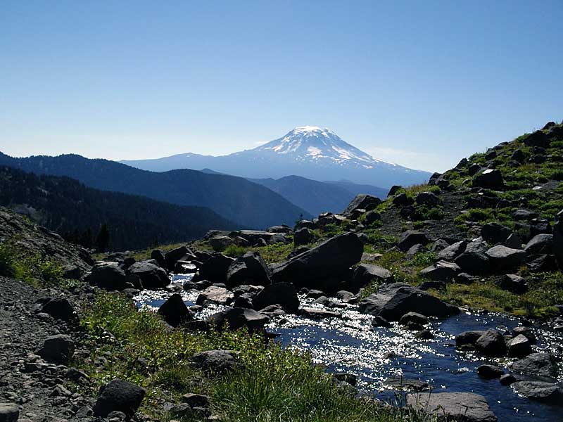 Mt. Adams from Goat Lake