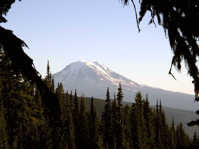 Mt. Adams from camp