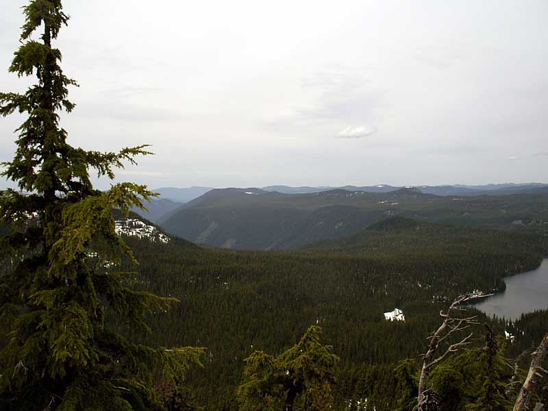 Black Creek drainage