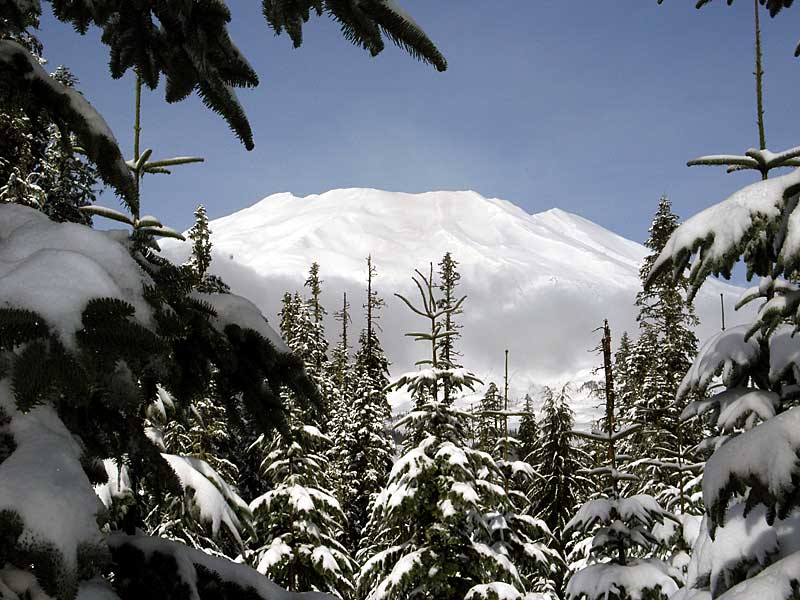 Mt. St. Helens