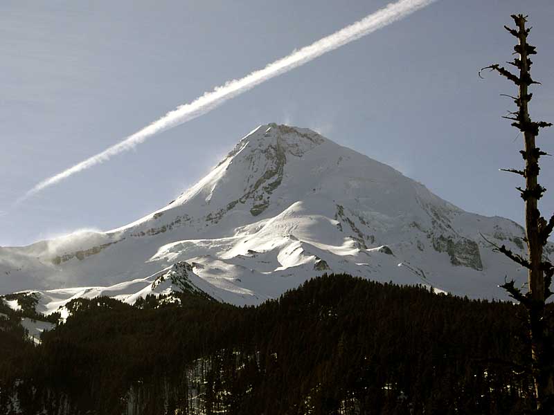 Mt. Hood