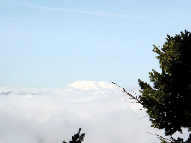 Mt. St. Helens