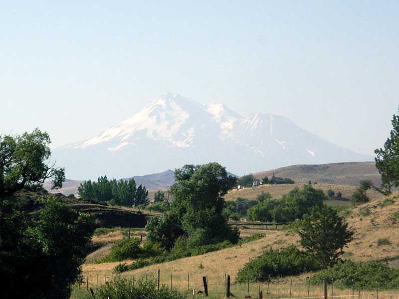 First view of Shasta