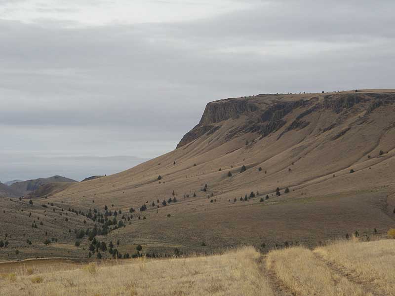 Hillside SW of Clarno