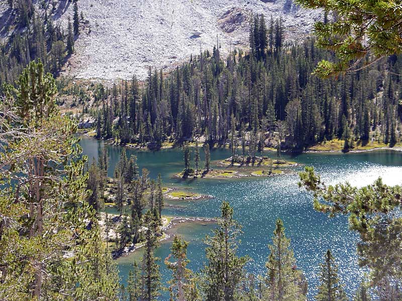 Alice Lake islands