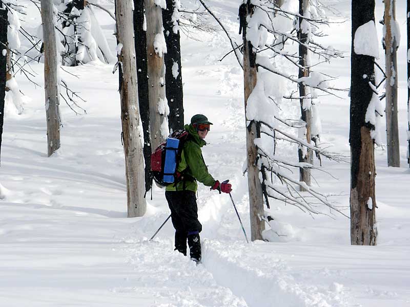 April leads the way back