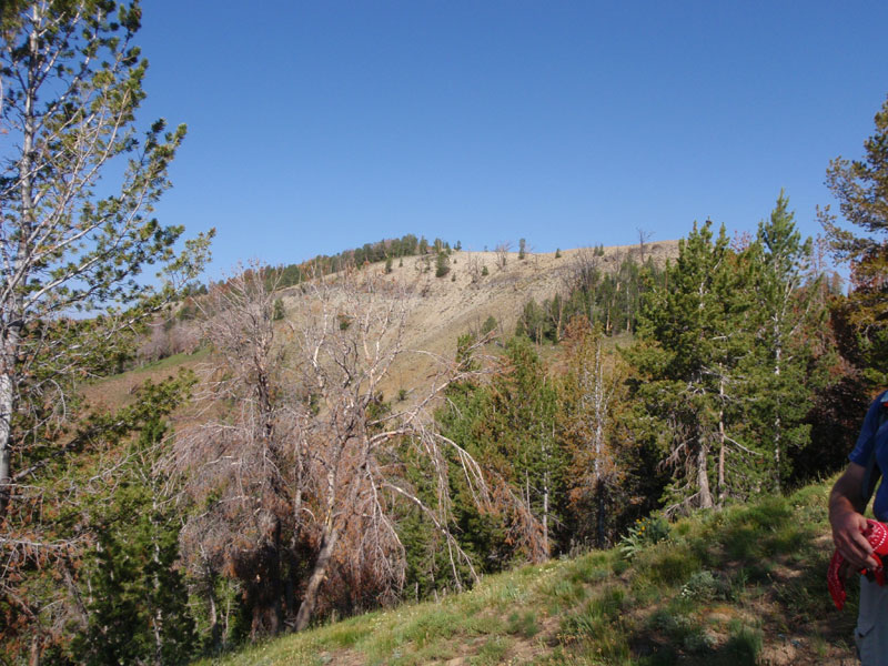 Ridge to west of Blackman