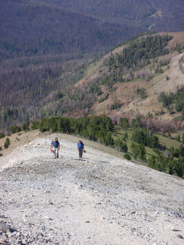 Above treeline on the west ridge