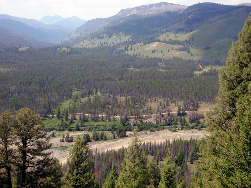 West Fork Yankee Fork valley