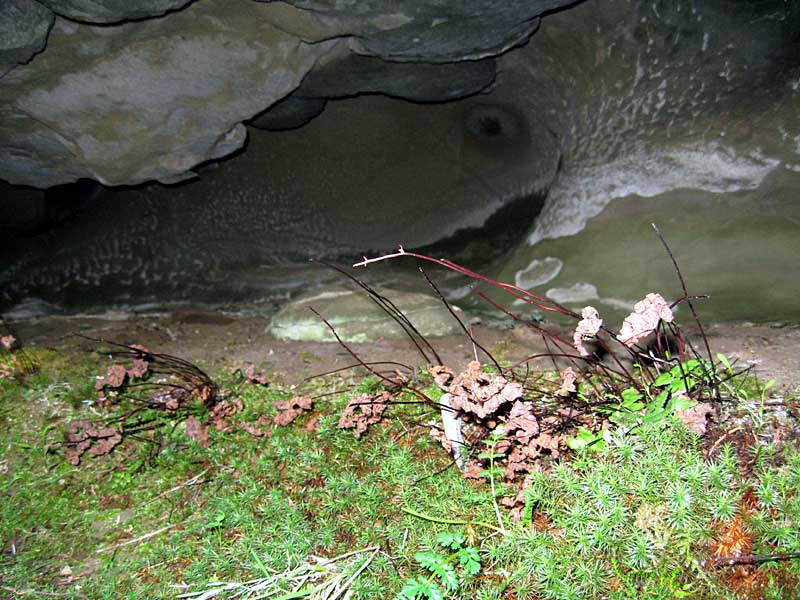 Grotto on The View From Inside