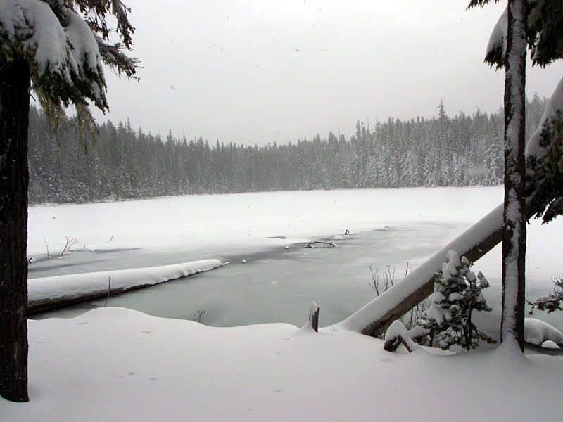 Midnight Lake