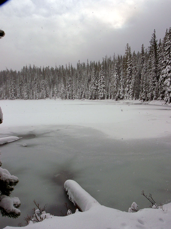 Another of Midnight Lake