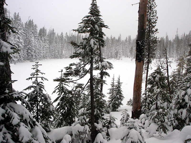 Arrowhead Lake