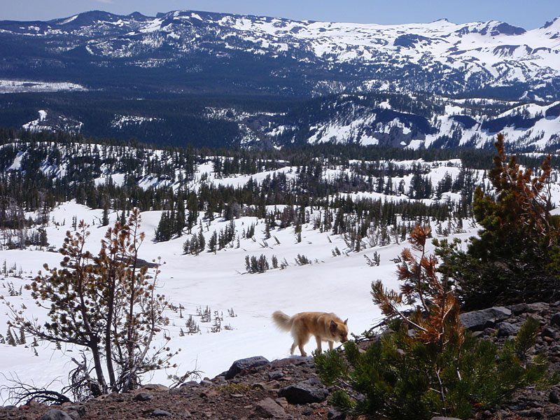 Exploring the east slope