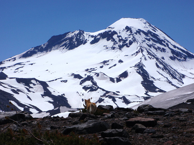 Easy snow climb, not too steep, besides it'll lay back once you get closer