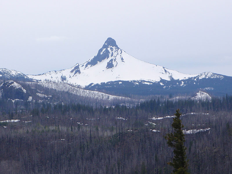 Washington from the Hwy