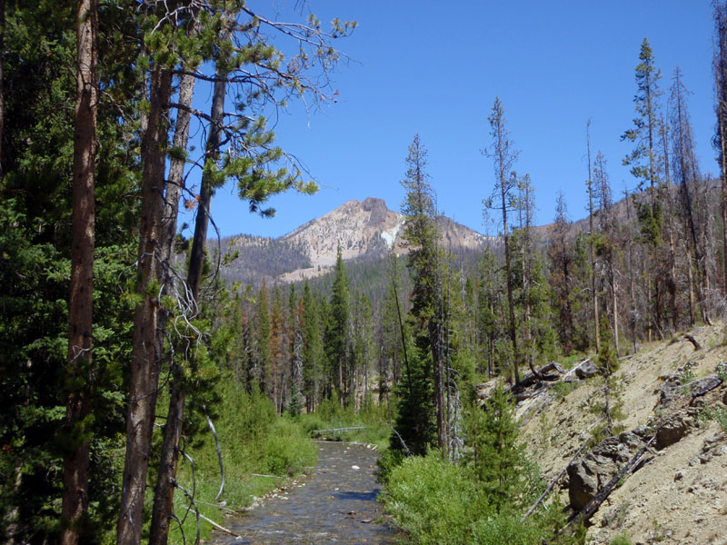 Along Lightning Creek