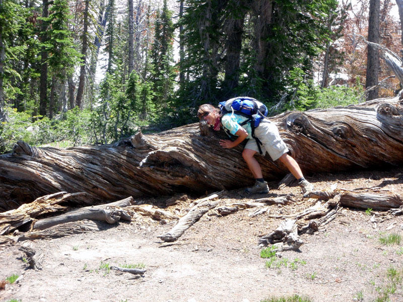 Juli by another twisty trunk