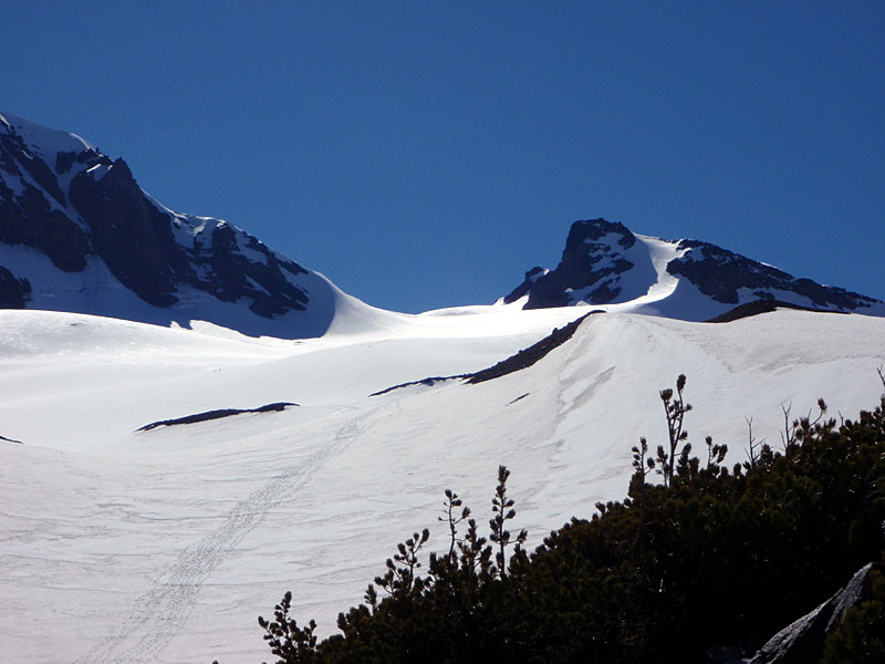 Tracks toward the Hayden