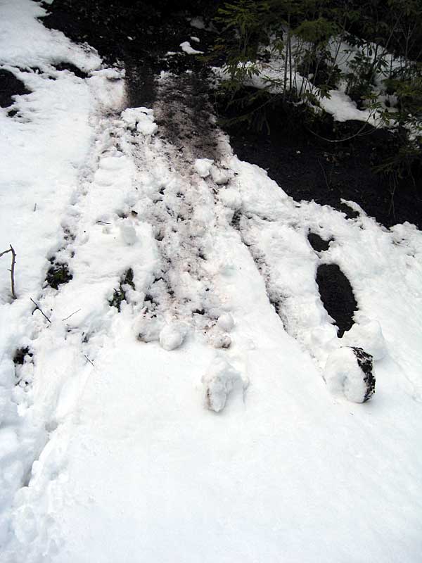 snow pinwheels