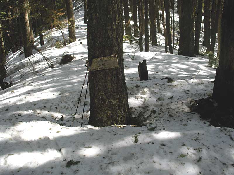 Junction of Sawtooth and Mt. June trails