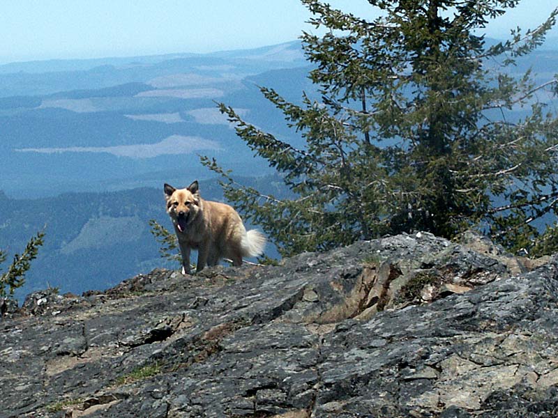 Molly the rock climber: it's at least a 10.5... errrr... 5.10