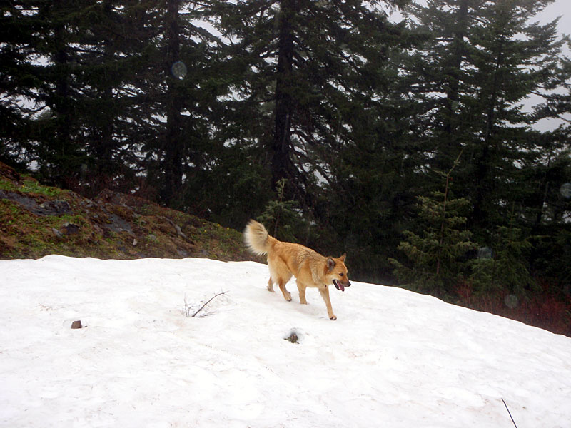 But yes, there's still snow!