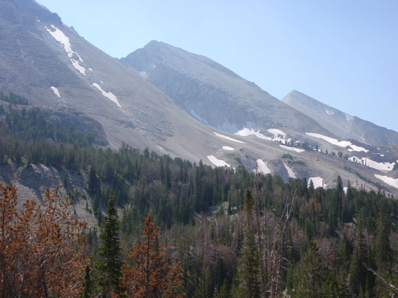 WCP-9 and D. O. Lee Peak