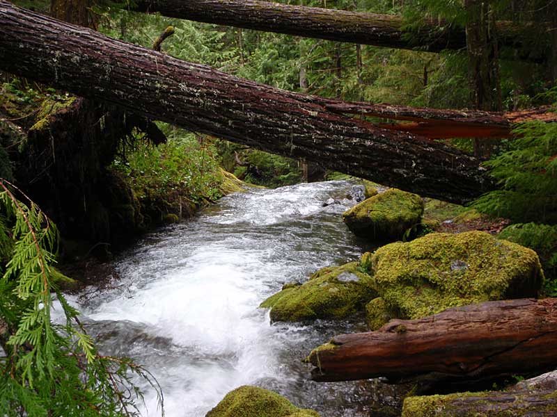 Parker Creek above upper falls