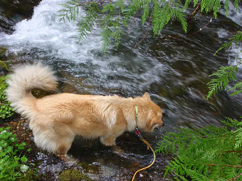 Getting a drink