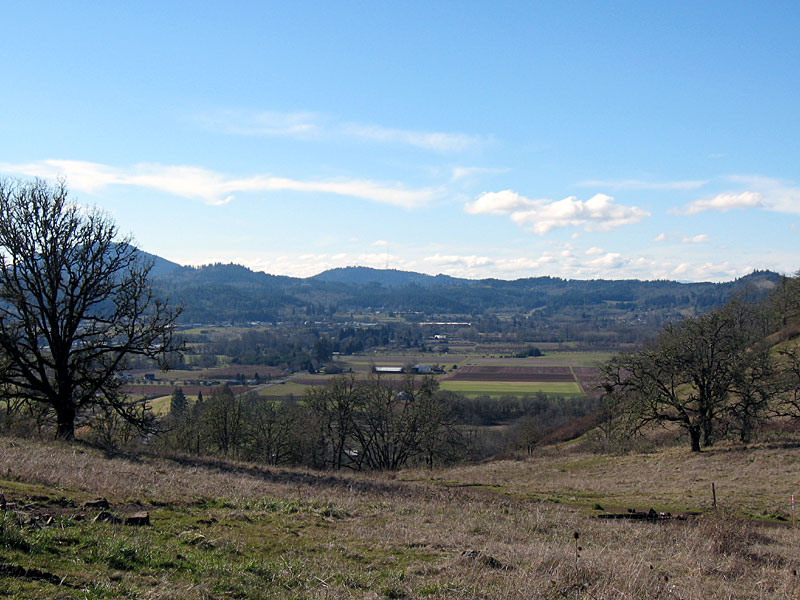 Seavey Loop area from Bridge Bowl