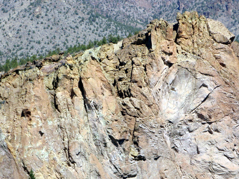 Little Three Fingered Jack