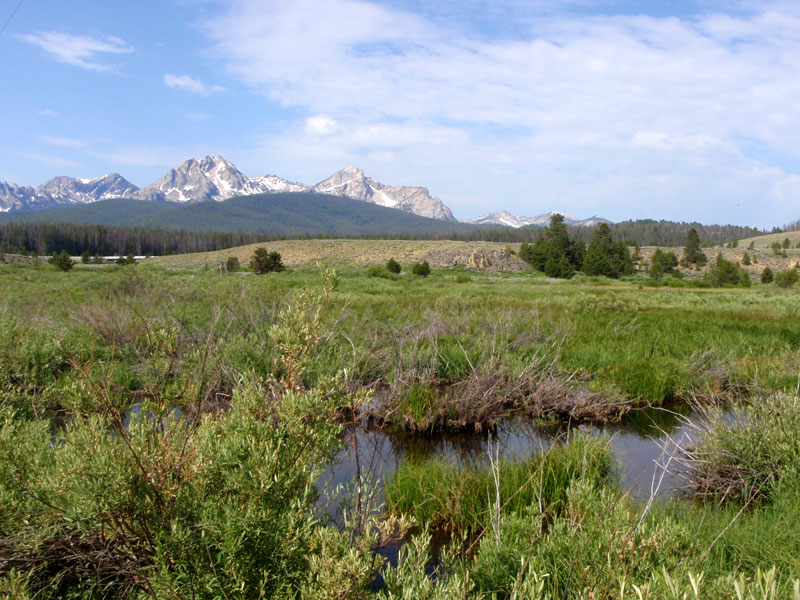 From the beaver ponds on Valley and Stanley creeks