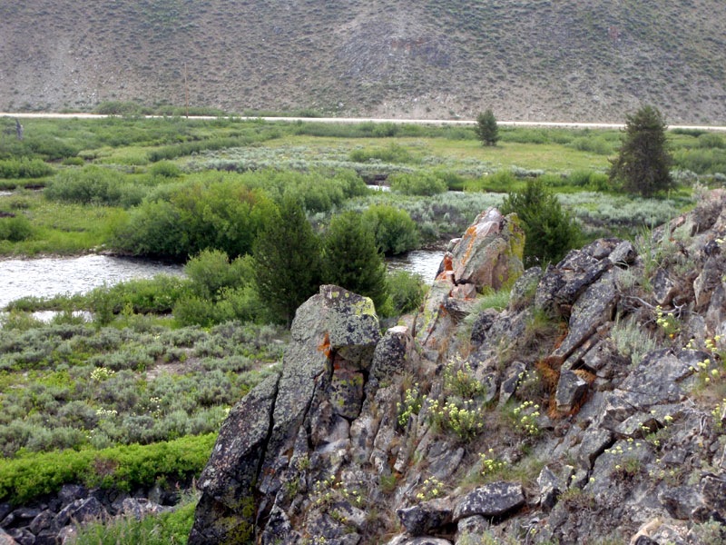 Beaver marsh from above