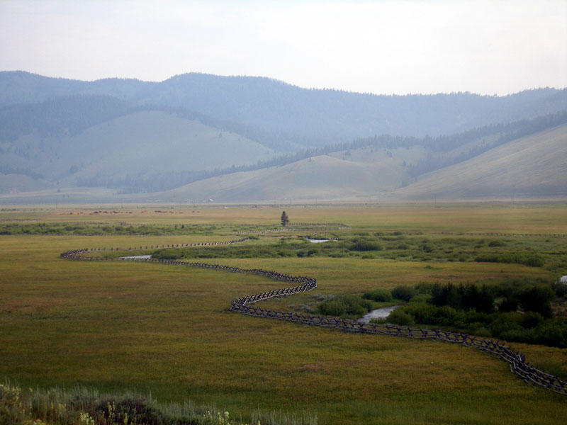 Fenceline in the Stanley Basin