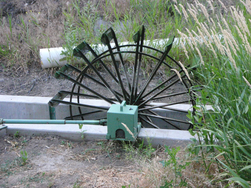 Paddle wheel