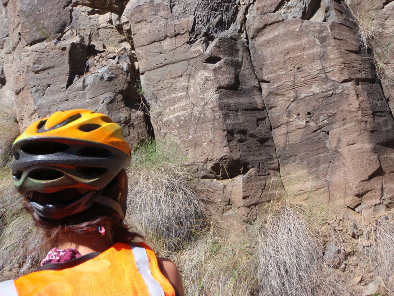 Petroglyphs in Picture Gorge