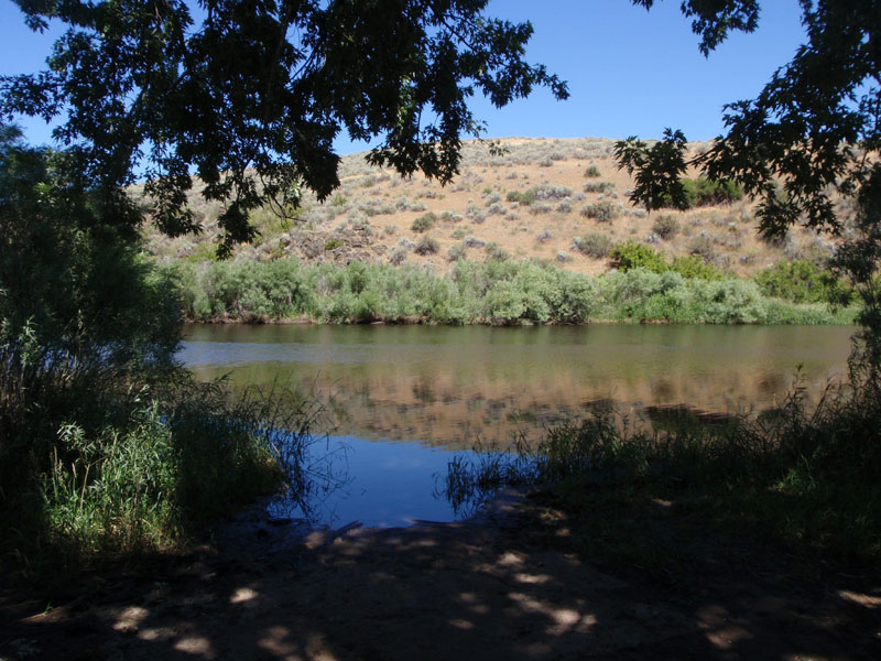 Camp on Squaw Creek