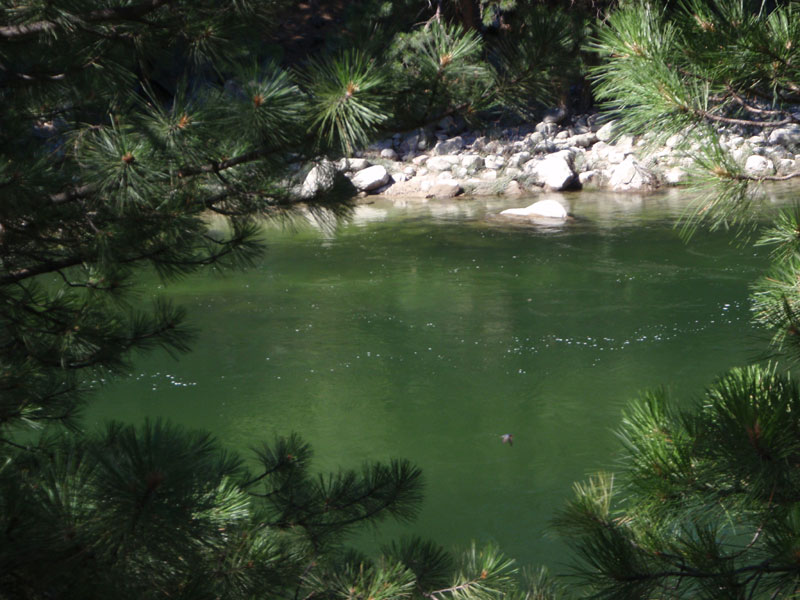 A calm stretch of the Payette