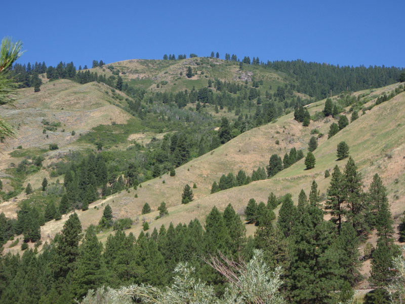 Hills above the river