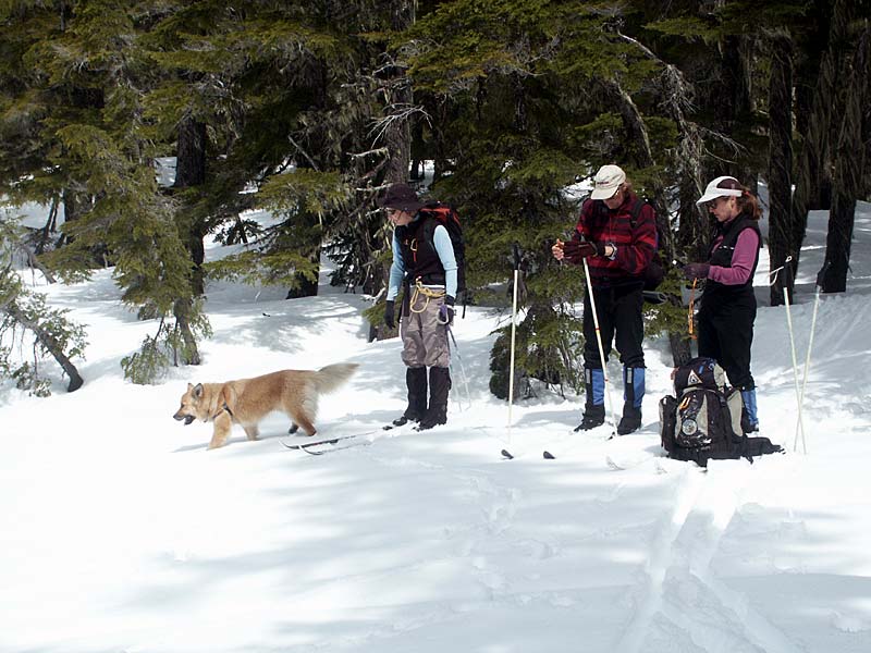 At Upper Island Lake: Molly, Sit!