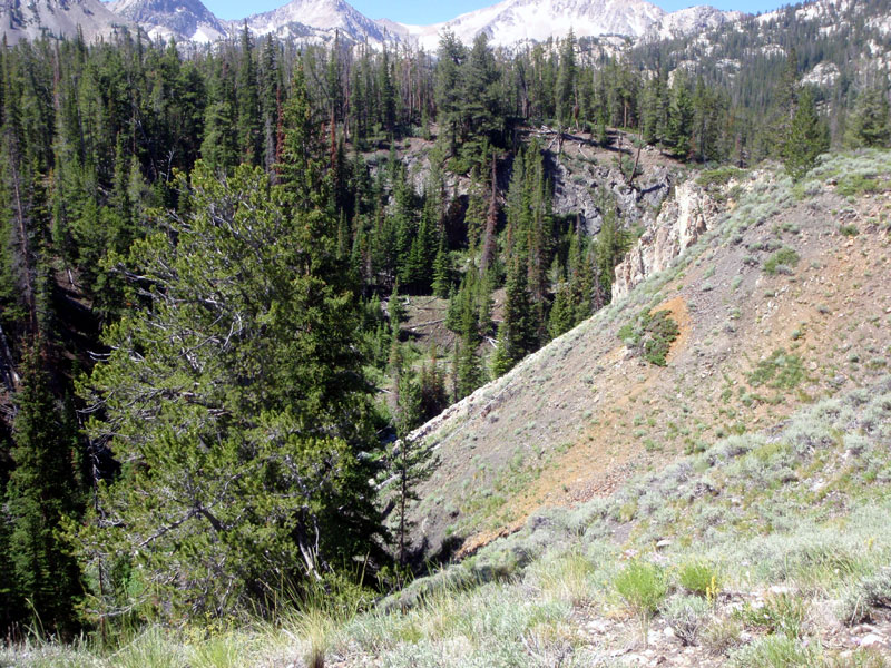 Big Boulder Creek canyon