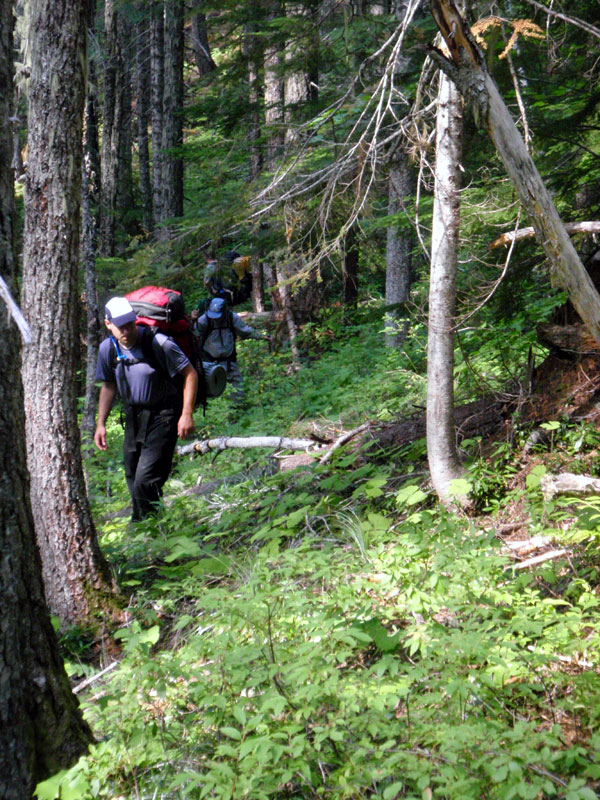 Searching Bear Flat drainage