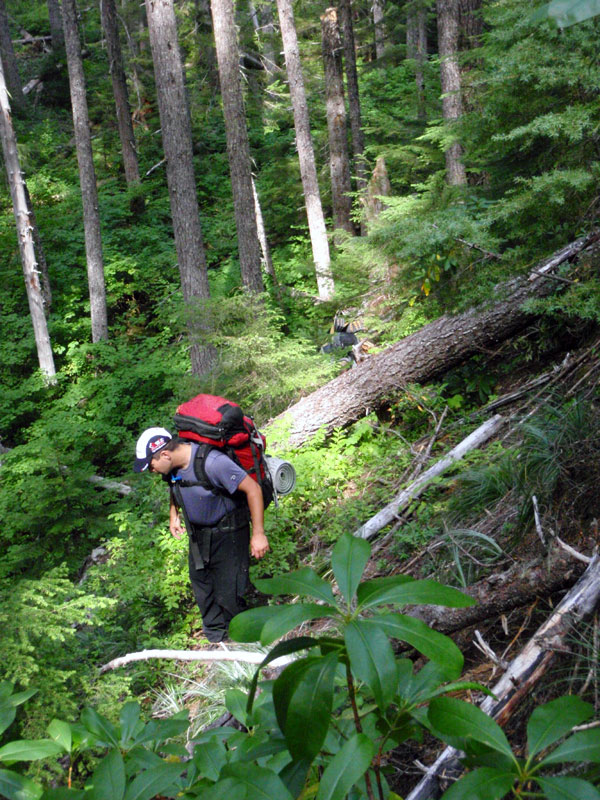 Brian in Bear Flat drainage