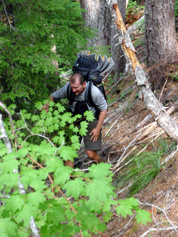 Robert in Bear Flat drainage