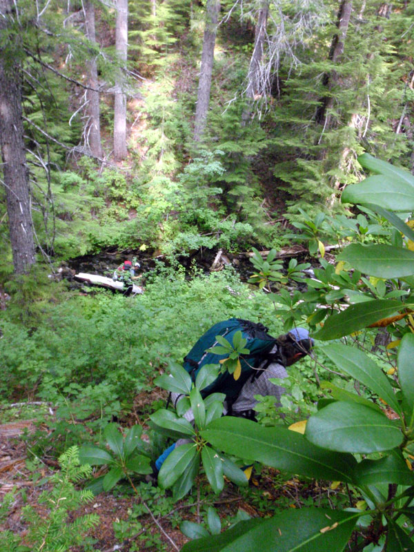 Searching French Pete Creek above confluence with Bear Flat creek