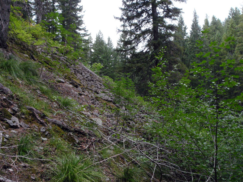 Rocky hillside