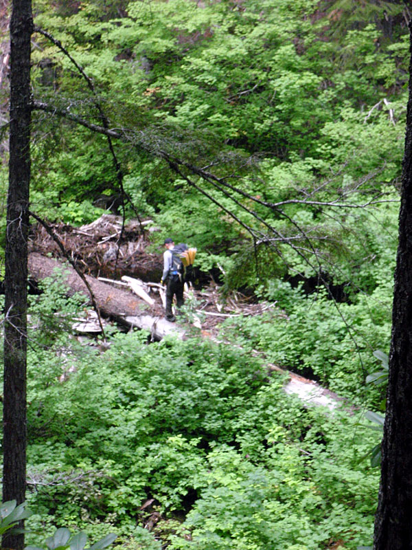 Robert crossing French Pete on log